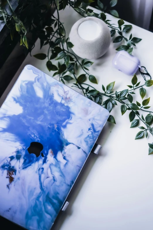 a macbook air pro that has a painting and its cover and the space for apple's logo