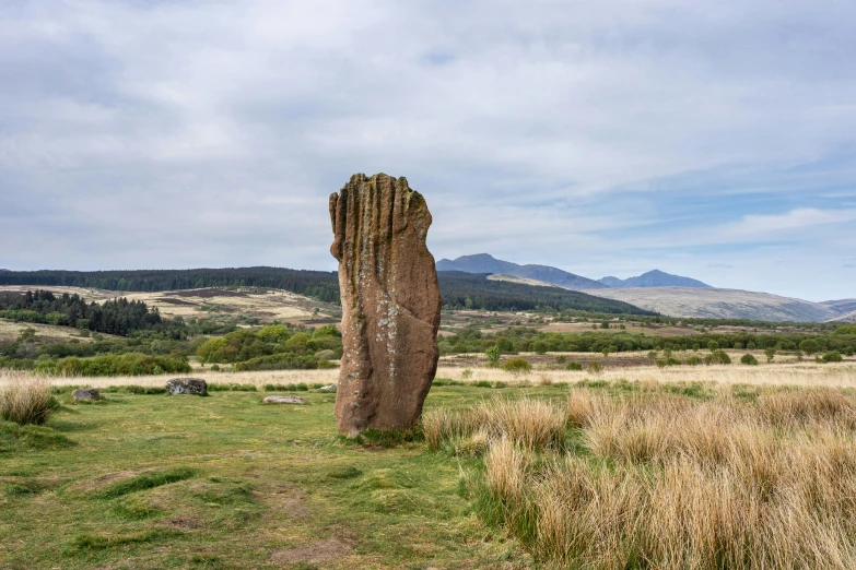 a tall wooden statue on a grassy field