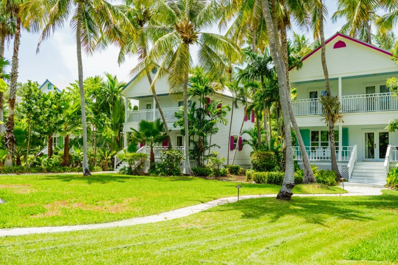 two cottages in the trees line an oceanfront drive