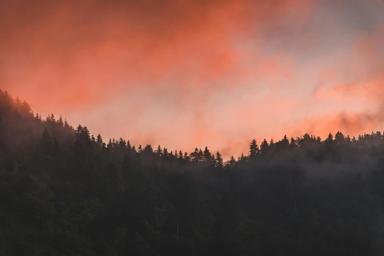 a picture of the sunset behind some trees