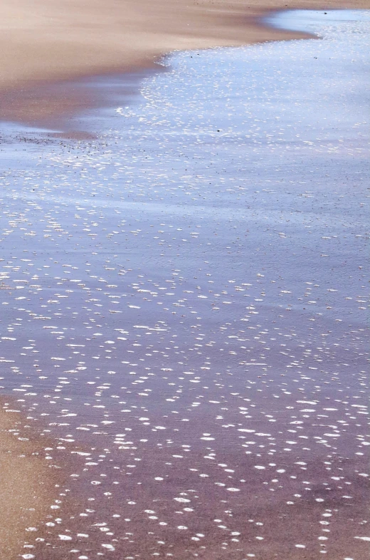 a man walks along the beach next to the ocean