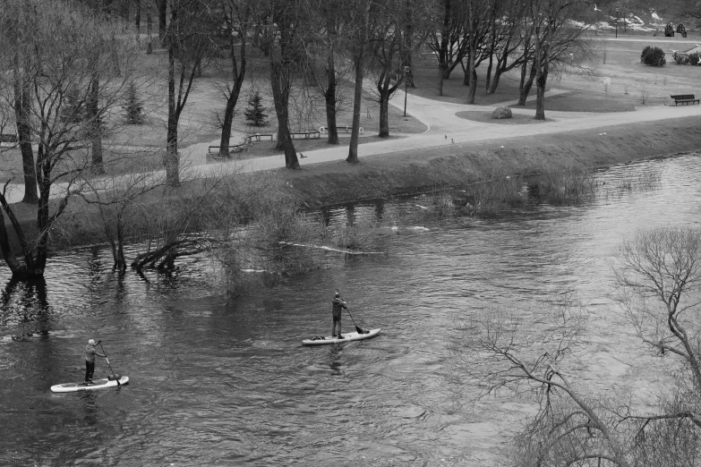 black and white image of people on paddle boards