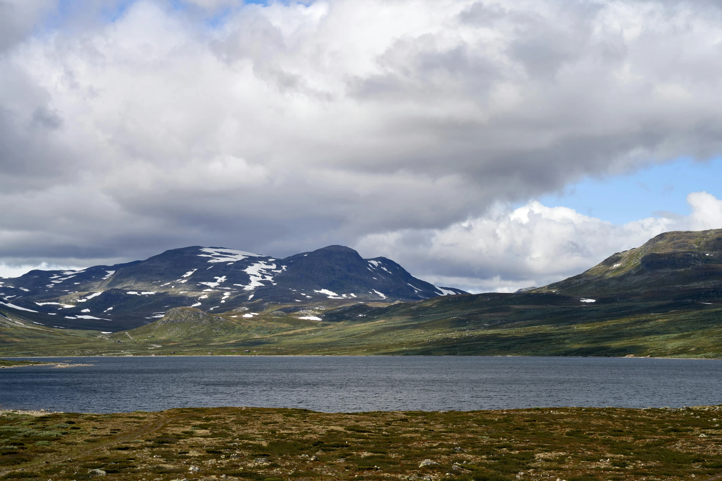 a lone cow standing by the water with mountains in the background