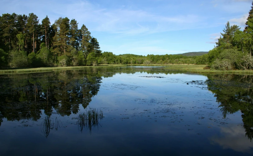 the lake has many water lilies on it