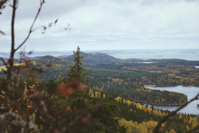 view of forest and water during daytime from a mountain top