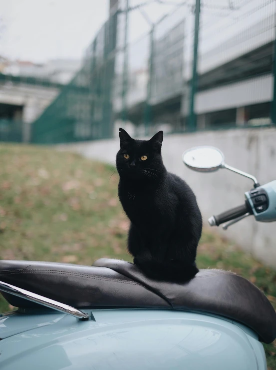 a black cat sits on top of the seat of a scooter