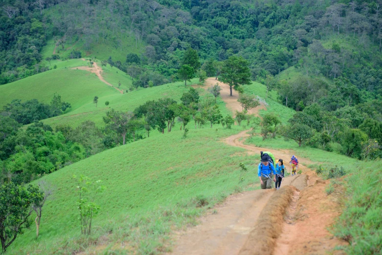 several people hiking up a hill in the jungle