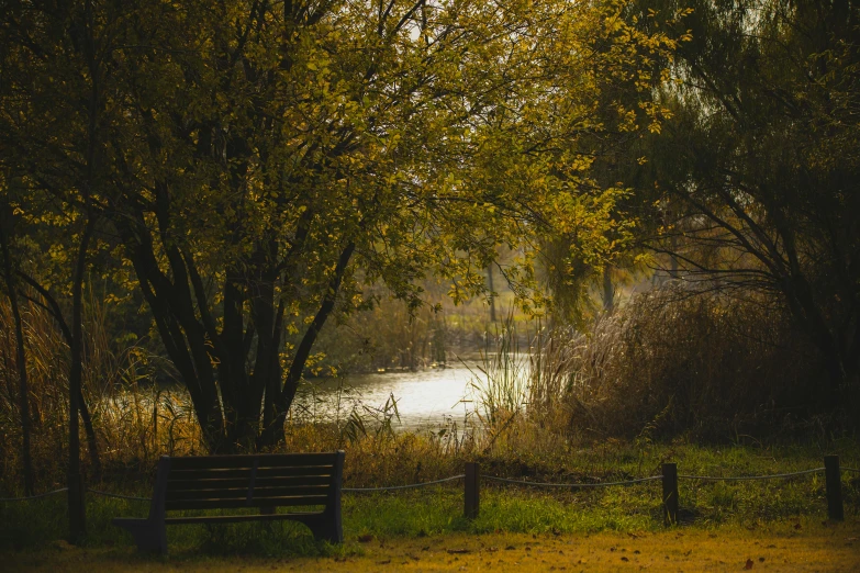 a bench sitting in front of trees next to a river