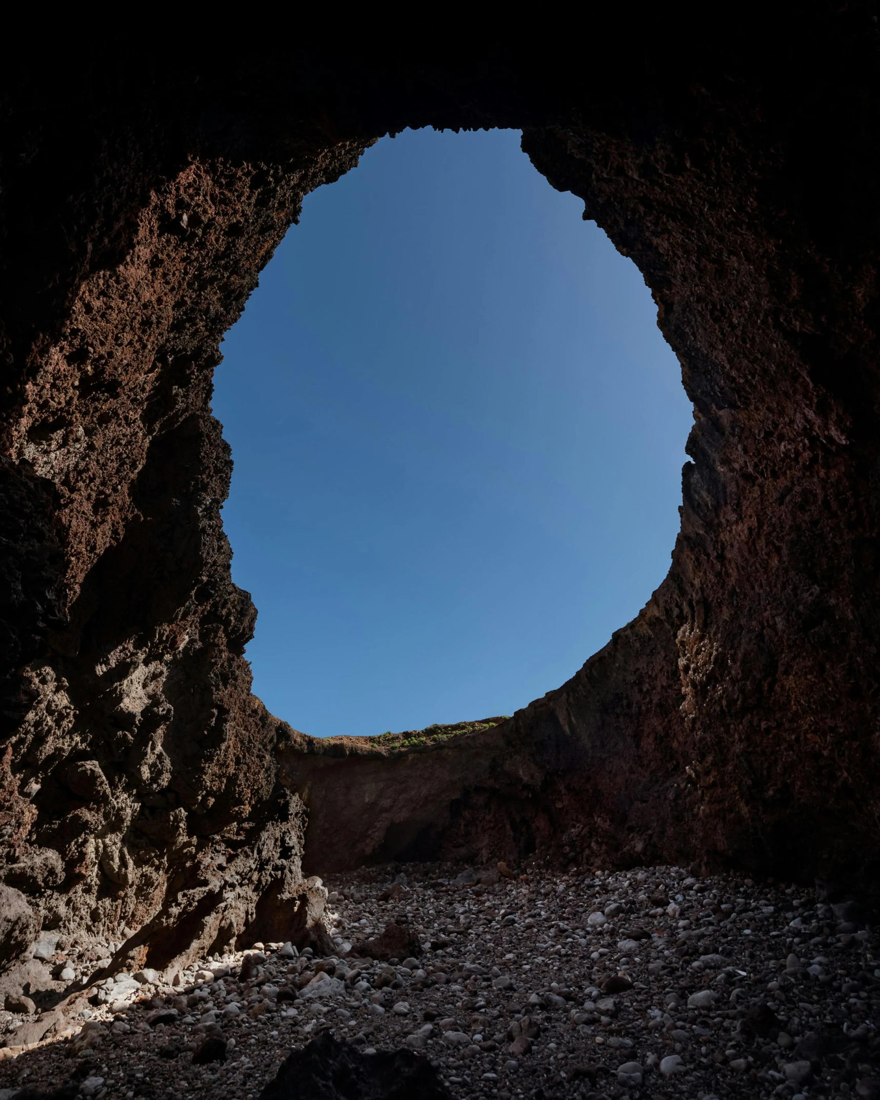 a bird is standing in a cave under the sun