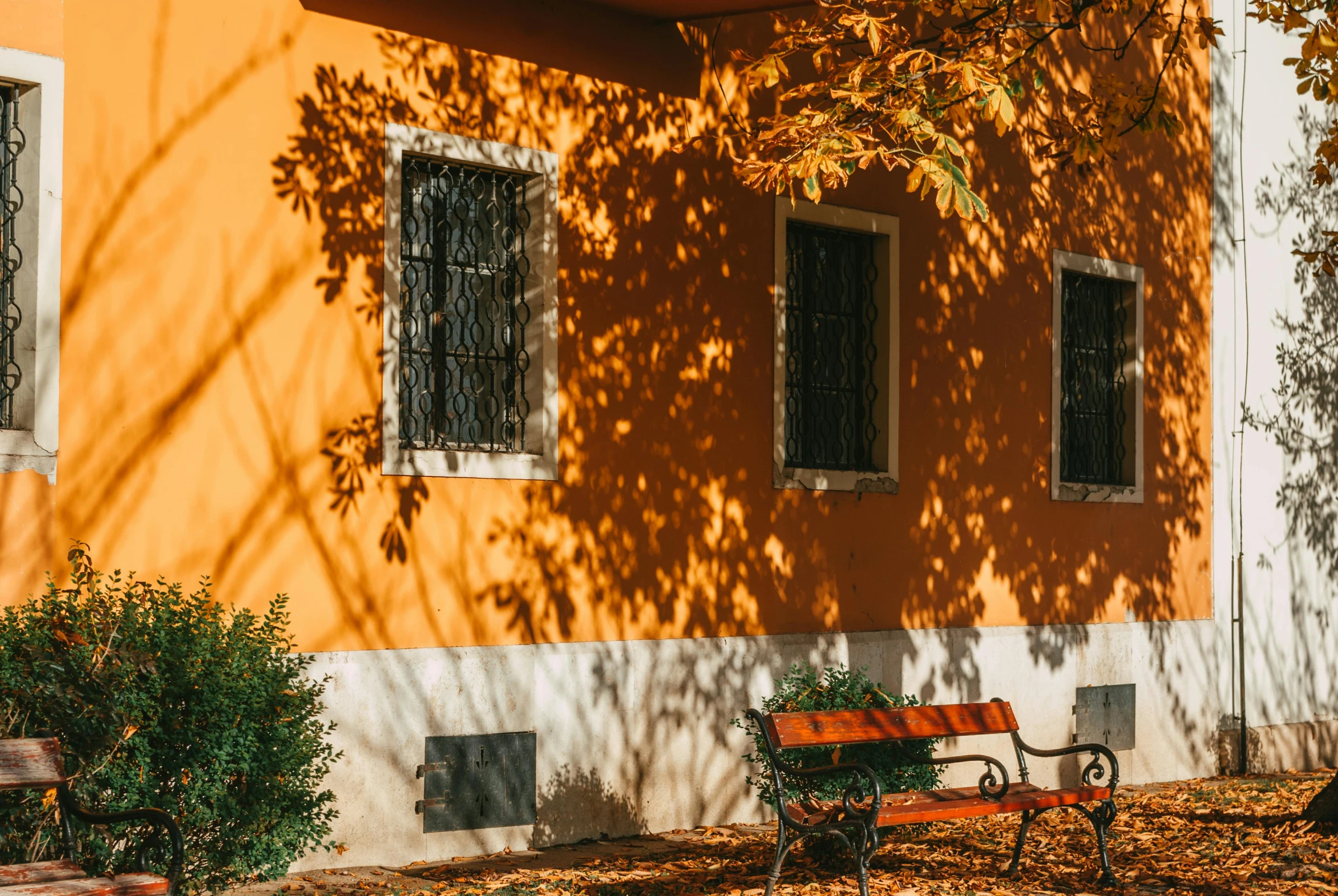 a po of a colorful building in the fall