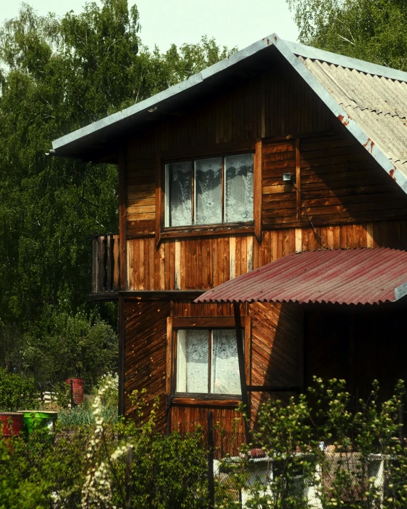 the cabin sits close to some very tall trees