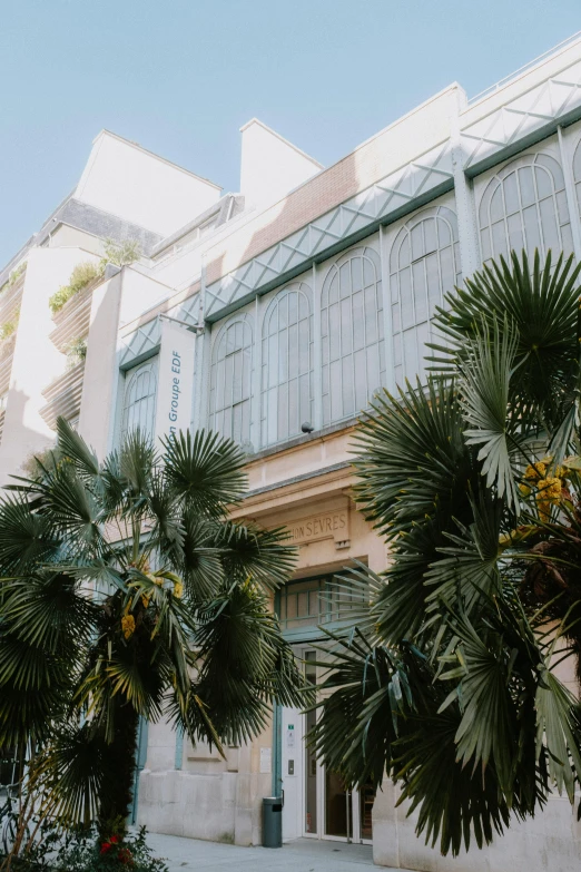 a tall building with lots of palm trees outside of it