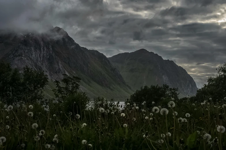 a mountain range is filled with clouds and dandelions