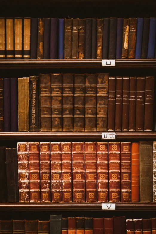 a row of old books with various rows of them