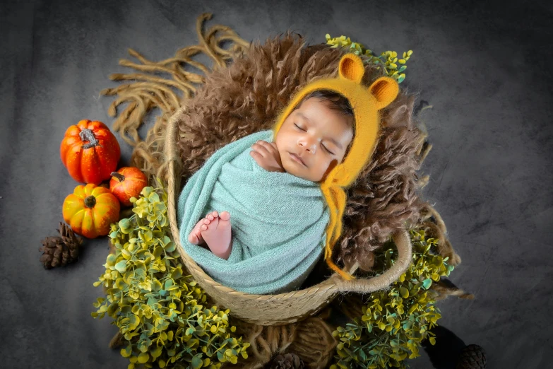 a baby boy wearing a lion costume with a hat and tail