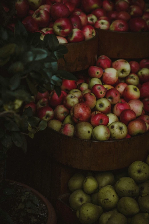 apples arranged in wooden baskets for sale