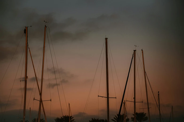 two large masts of sailboats sit in the sunset