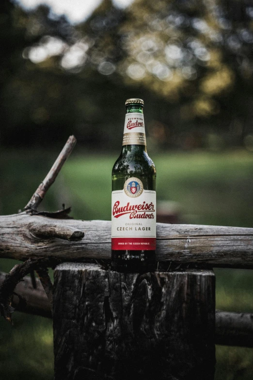 a bottle of alcohol on a wooden plank