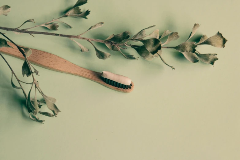 a wooden brush laying on top of leaves