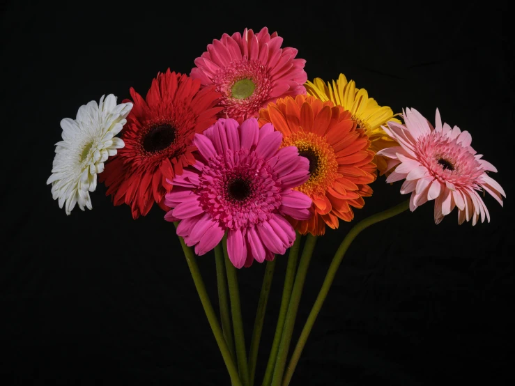 a bunch of colorful flowers that are in a vase