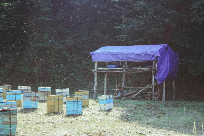 a field of bees that are outside with a blue cover