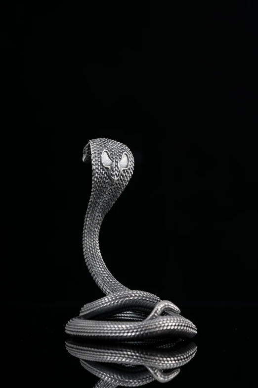 silver serpent snake on black background and reflective surface