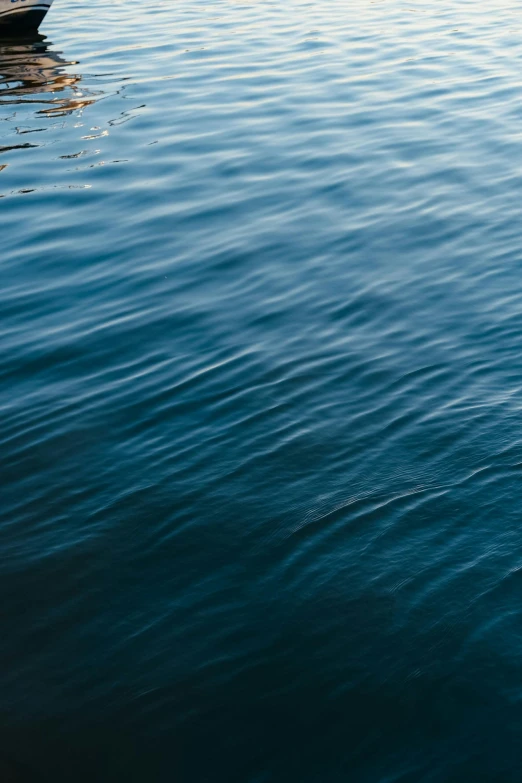 a single row boat in a calm body of water