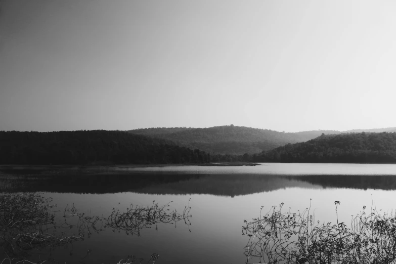 a large lake surrounded by a forest filled with trees