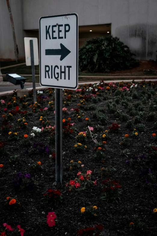a white sign with an arrow pointing left in front of some plants