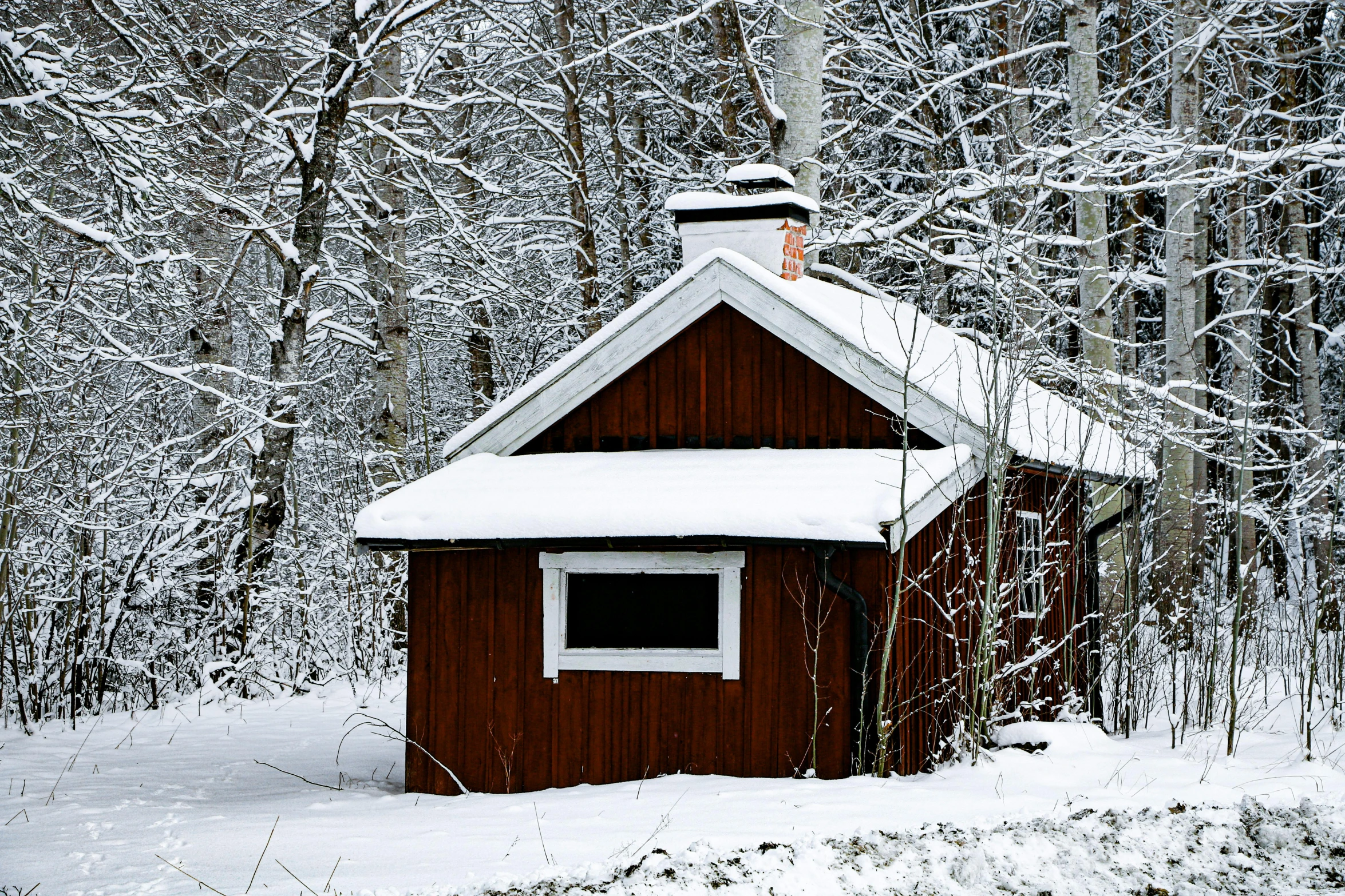 a small red cabin is in the snow