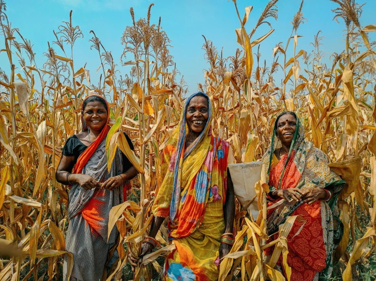 three women stand in the middle of a field of corn