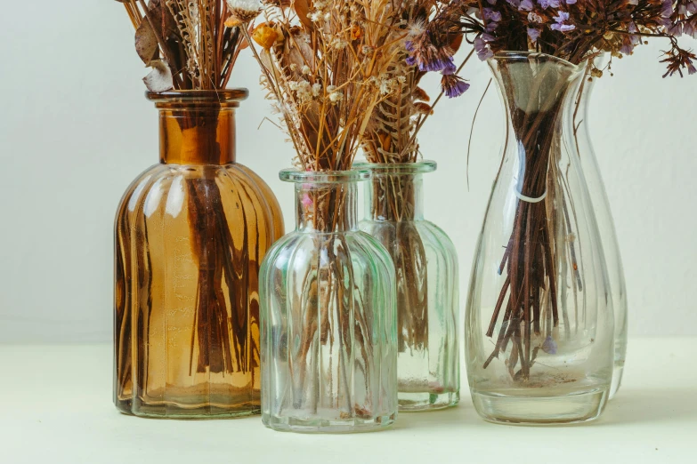 three glass vases with dried flowers are set next to each other