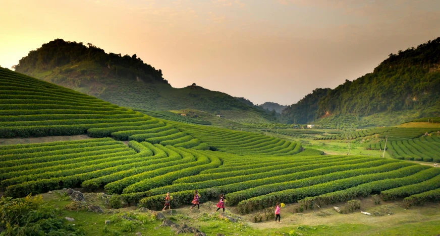 many people are walking through a huge hill side