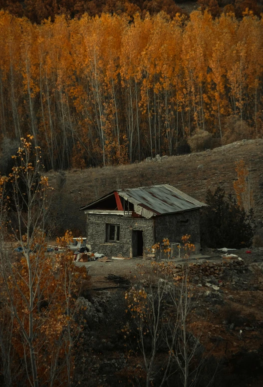 an old run down cabin is in a wooded area