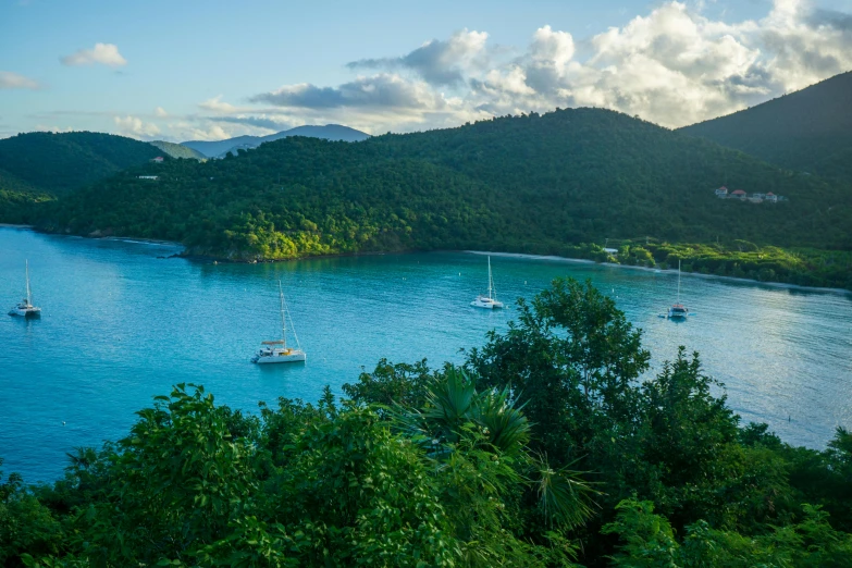 there are many boats that are docked on the lake