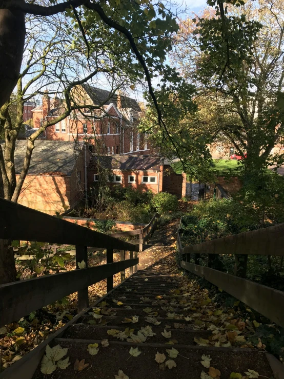 leaf covered steps leading into a park