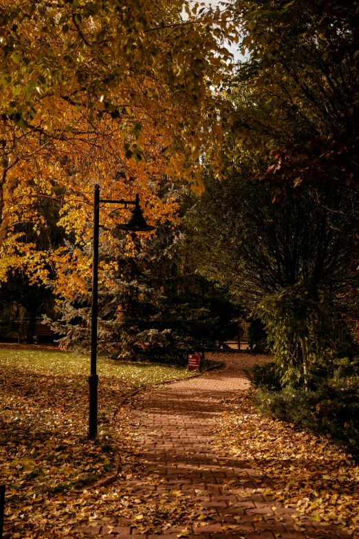 a pathway in a park that is surrounded by trees