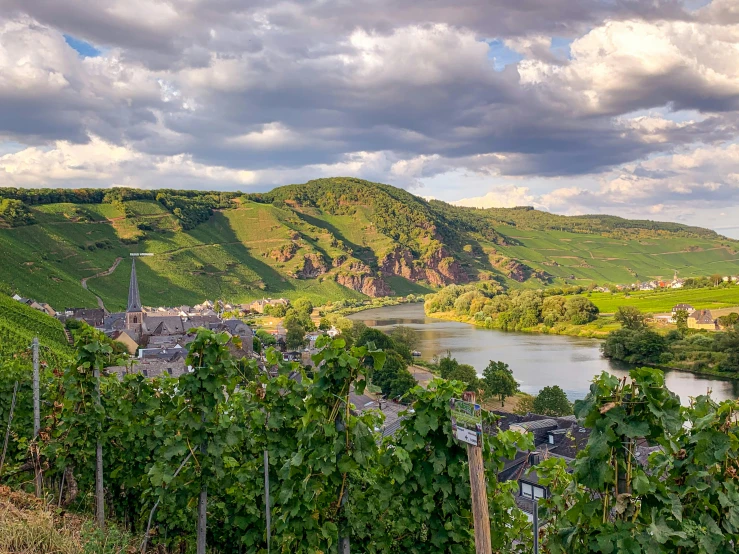 view of an old vineyard near a village