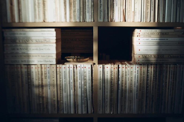 a large bookcase with many books in it