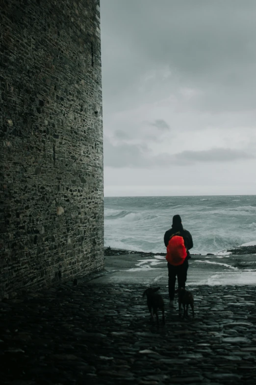 a person with a red jacket and a dog walking towards the ocean