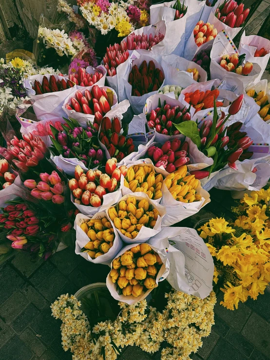 there is a bunch of flowers for sale in the street