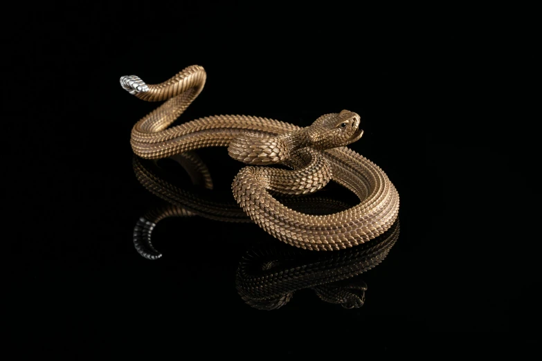 a pair of snake rings in gold on black background