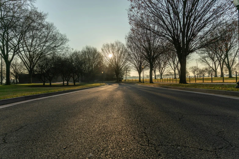 an empty street in a park with bare trees