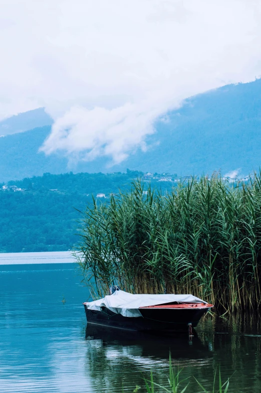 an empty boat sits on the water with tall grass growing next to it