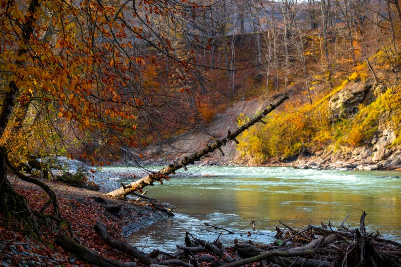 the river is flowing through an area surrounded by autumn trees