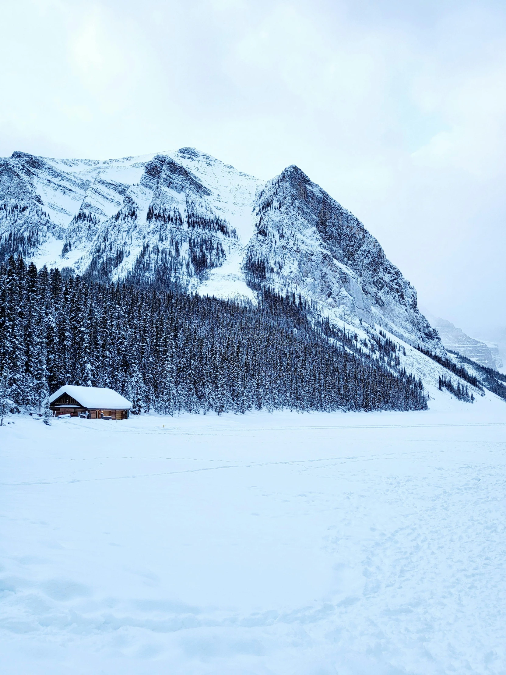 a snowy mountain with a cabin on it and trees around