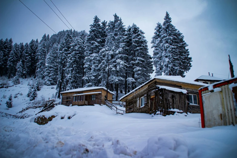 a cabin covered in snow next to trees and telephone lines