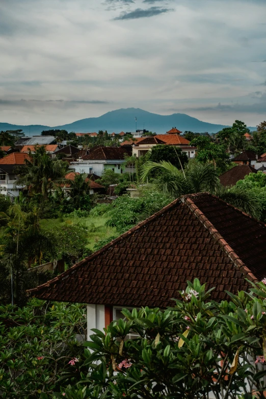 a roof with some grass and trees and hills