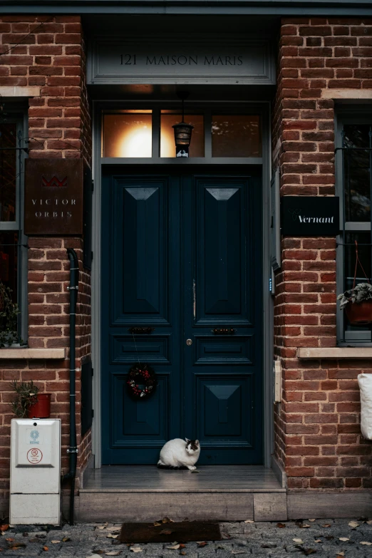 a cat that is laying on the step in front of a door