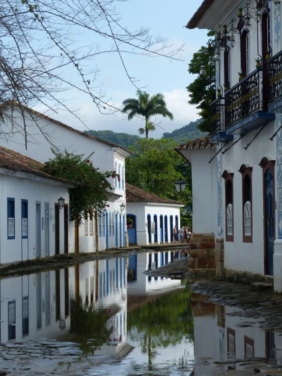 old - fashioned buildings reflect in the water in this small town